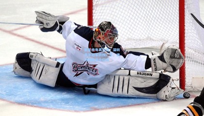 新星南粤再启航，深圳青年冠军转投广东，澳洲历练淬火归来